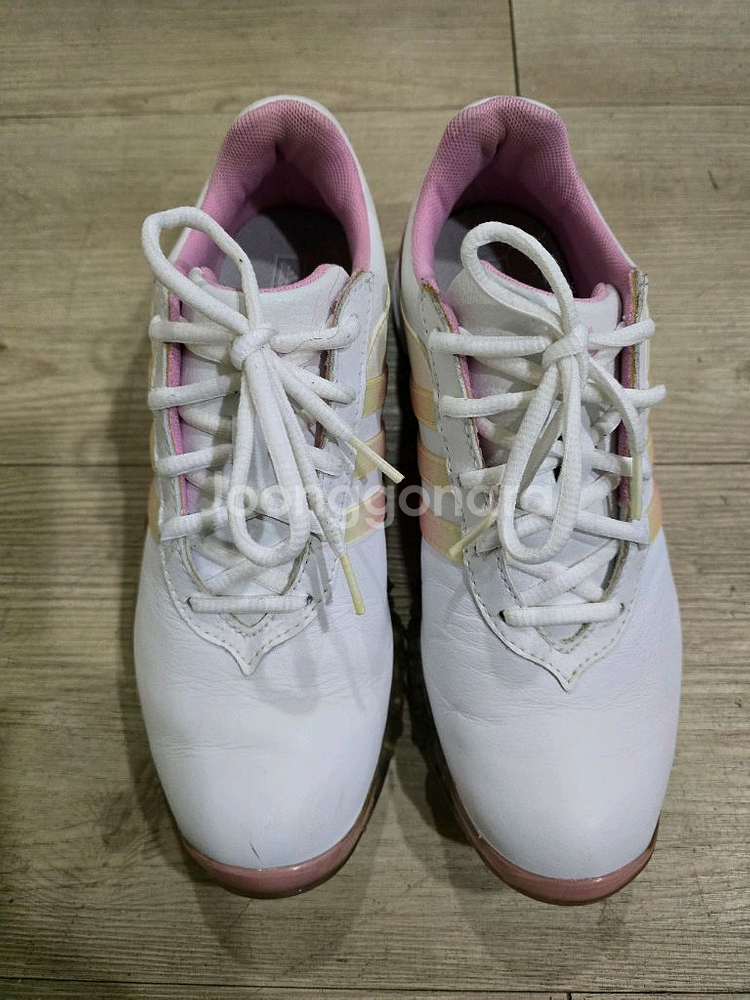 아디다스 골프 여성가죽 골프화 230~5mm--1