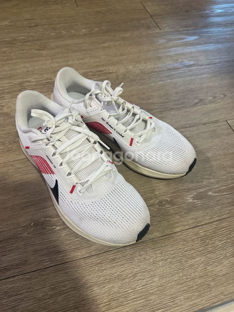 나이키 페가수스40 킵초게 런닝화 260mm--1