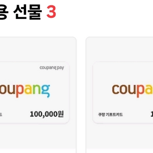 쿠팡 기프트카드 10만원권 2장 세트