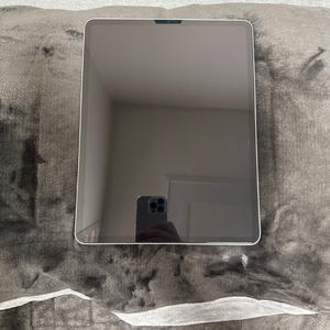 아이패드 프로 12.9 5세대,애플펜슬 2세대