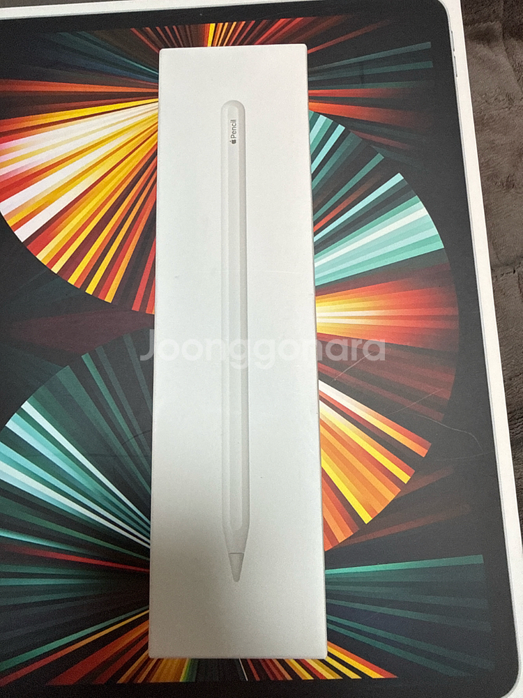 아이패드 프로 12.9 5세대,애플펜슬 2세대--7