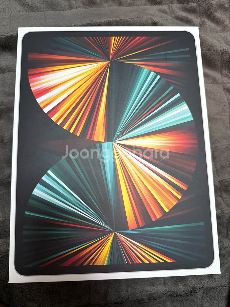 아이패드 프로 12.9 5세대,애플펜슬 2세대--6