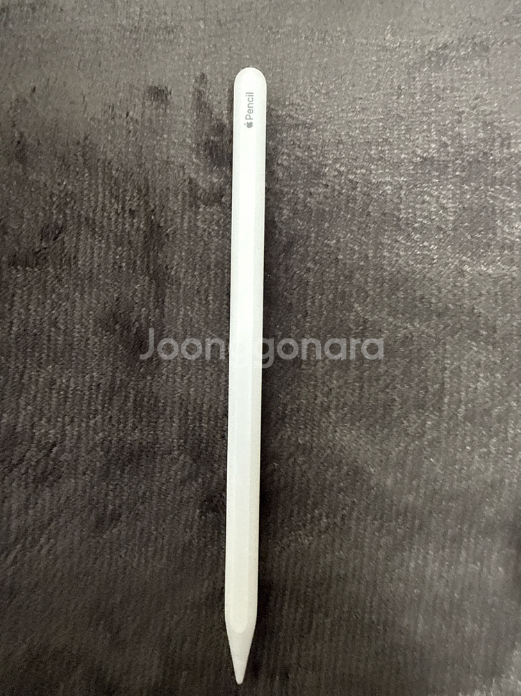 아이패드 프로 12.9 5세대,애플펜슬 2세대--5