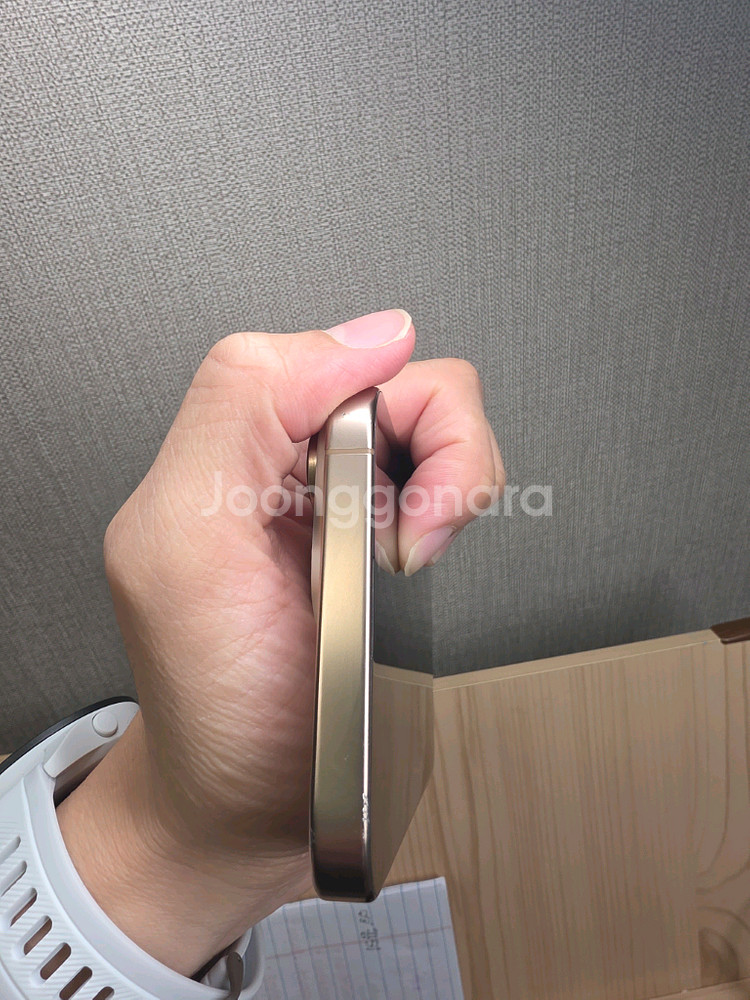 아이폰 16 프로맥스 데저트 256G 카메라 무음판(애캐플)--3