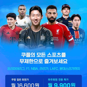 쿠팡플레이 스포츠패스 12개월 이미지