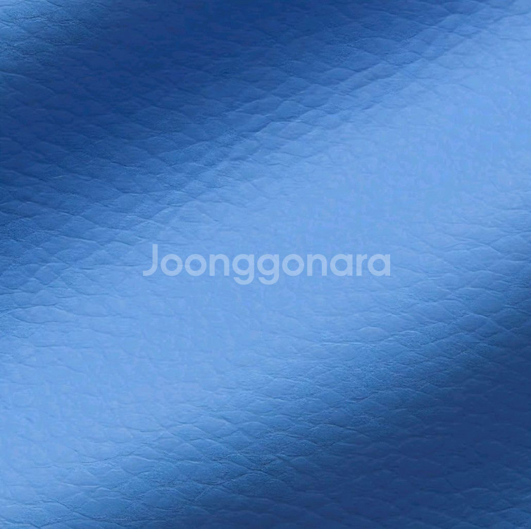 새상품/나이키 아이콘 블레이저 리스틀릿 클러치 파우치 손가방--3