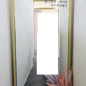 골드 프레임 전신거울