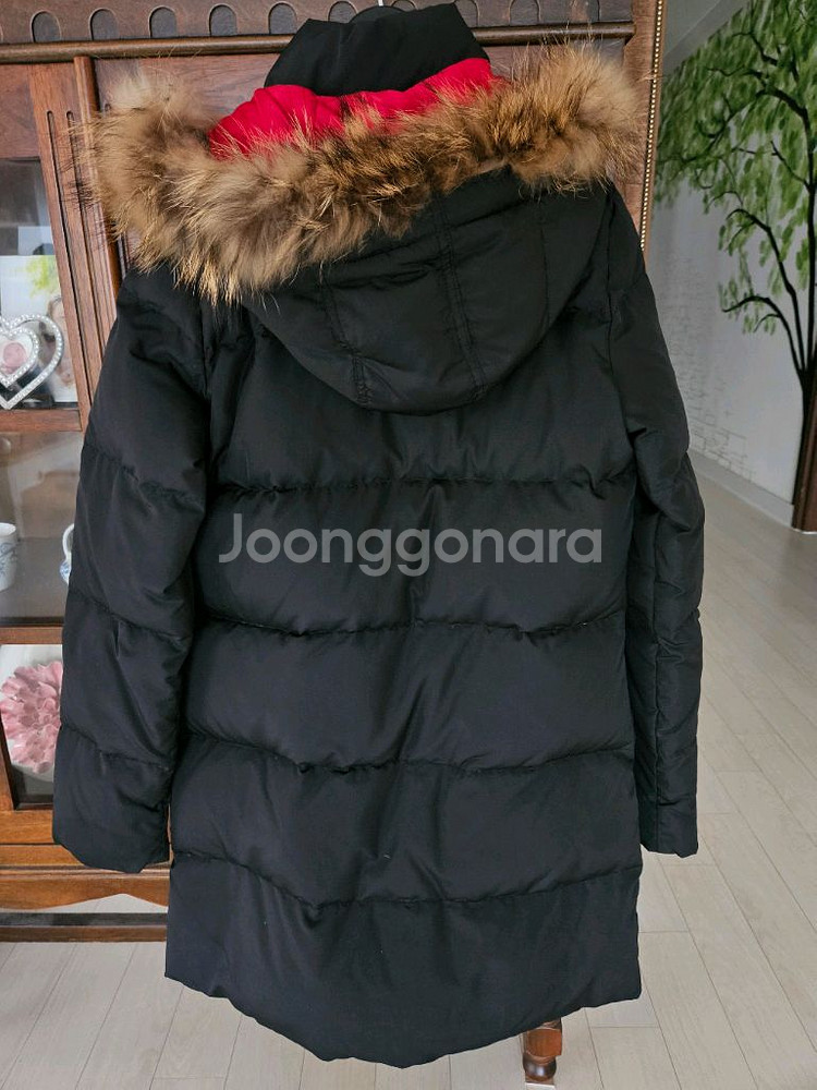 라코스테패딩 55--1