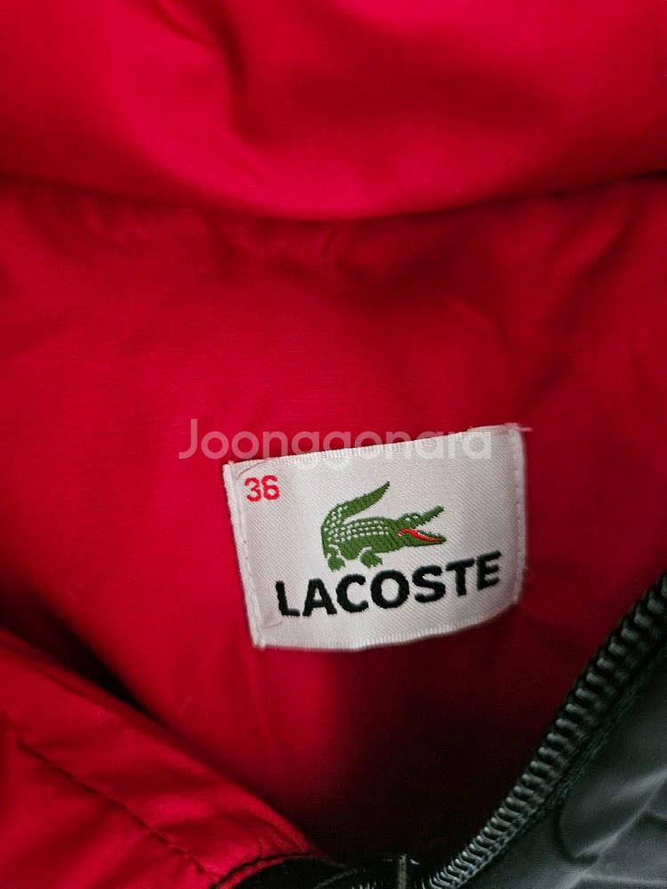 라코스테패딩 55--2
