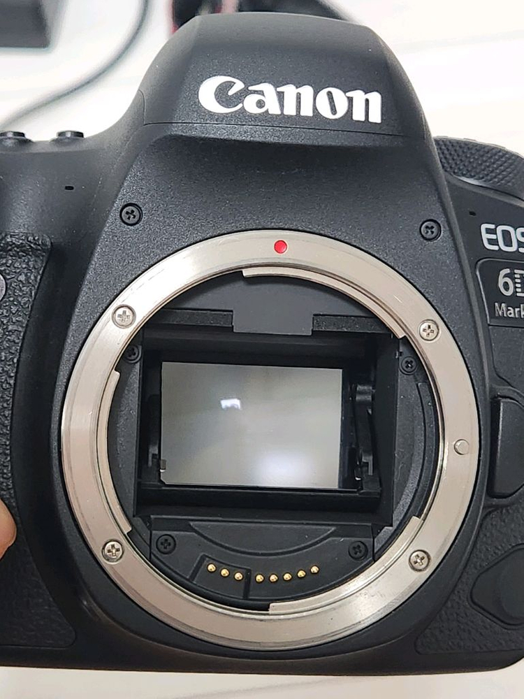 캐논 6D Mark II + 신계륵 24-70mm 렌즈--6