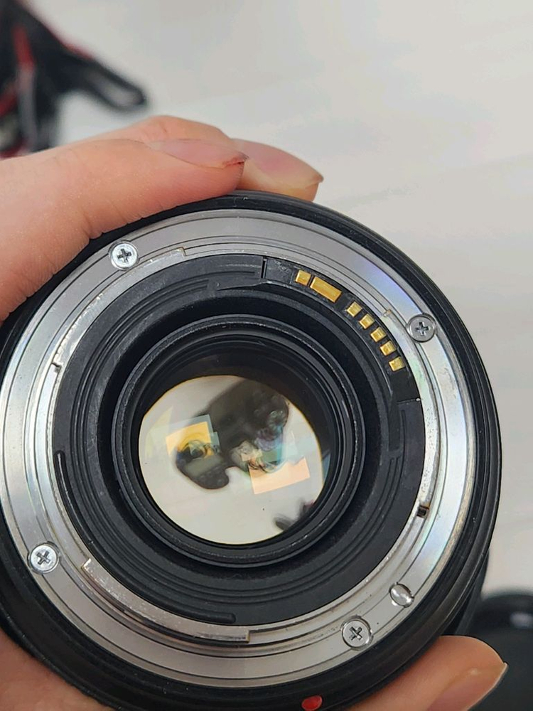 캐논 6D Mark II + 신계륵 24-70mm 렌즈--5