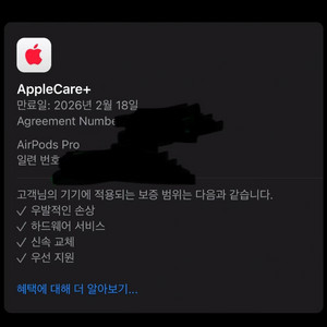 애플 에어팟 프로 2세대 애케플