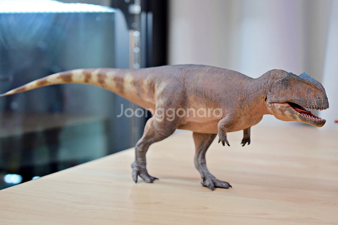 하오롱굿 기가노토사우루스 공룡 피규어/모형--0