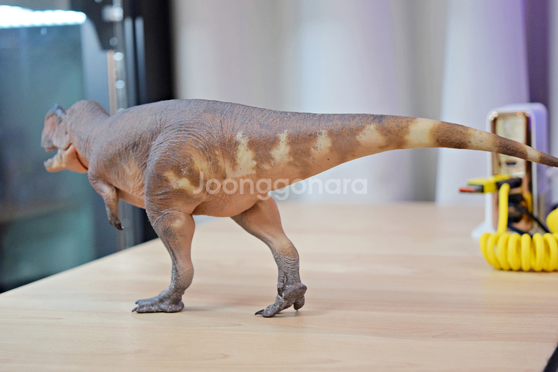 하오롱굿 기가노토사우루스 공룡 피규어/모형--7