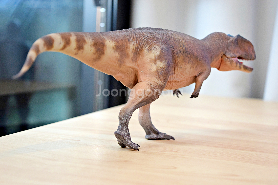 하오롱굿 기가노토사우루스 공룡 피규어/모형--6