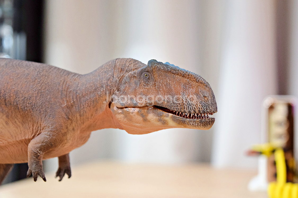 하오롱굿 기가노토사우루스 공룡 피규어/모형--9