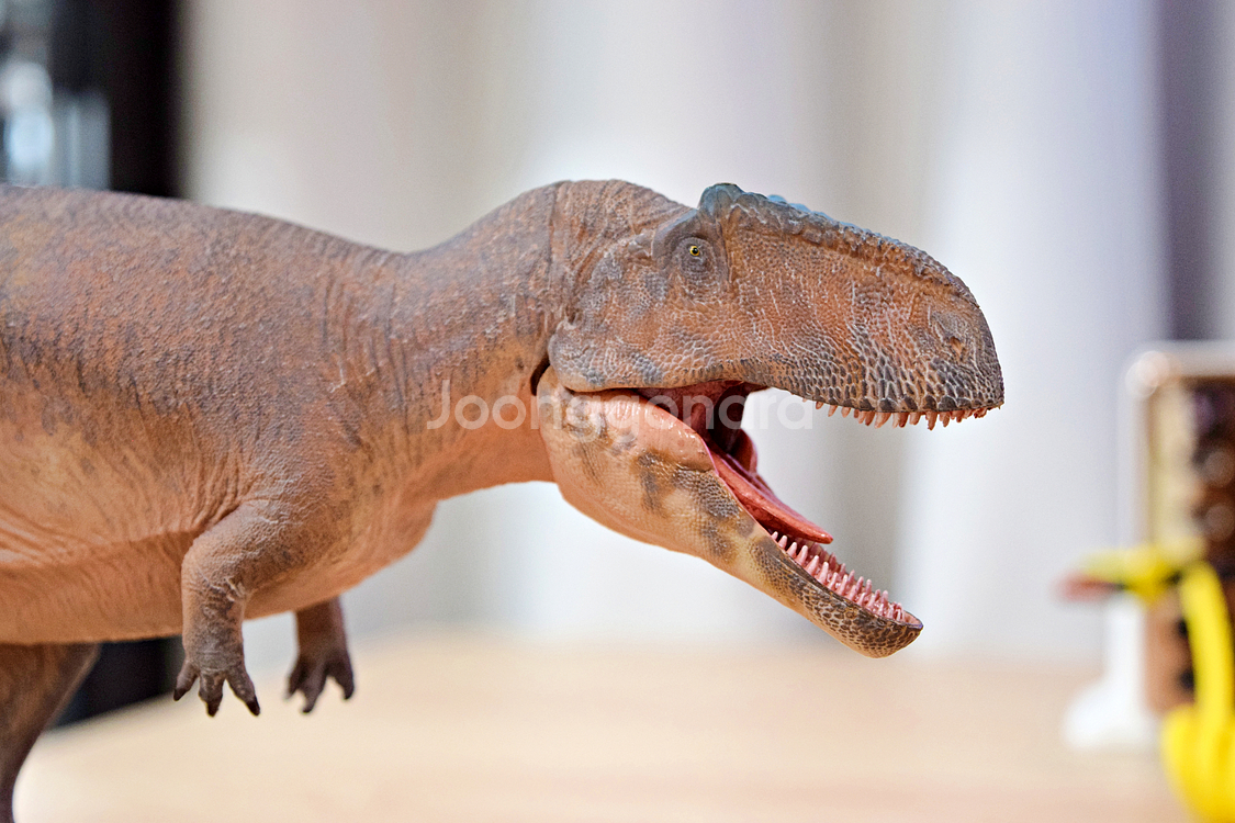 하오롱굿 기가노토사우루스 공룡 피규어/모형--8