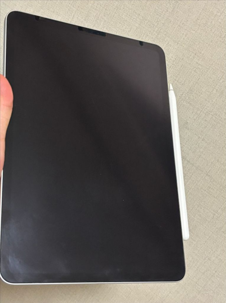 아이패드 프로 11인치 2세대--2