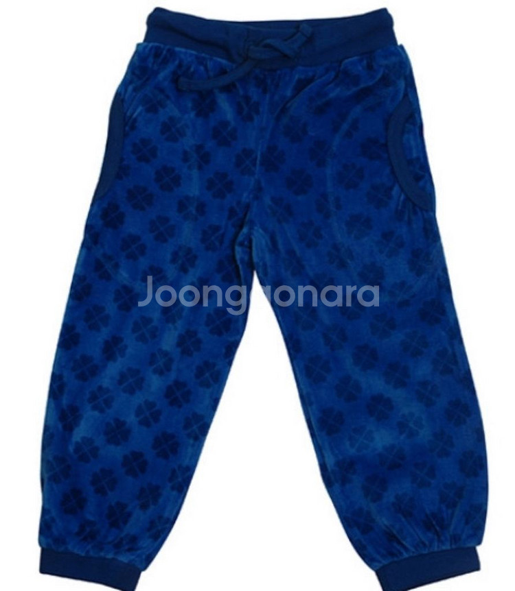 던스 초코벨루어 블루벨루아 일괄--3