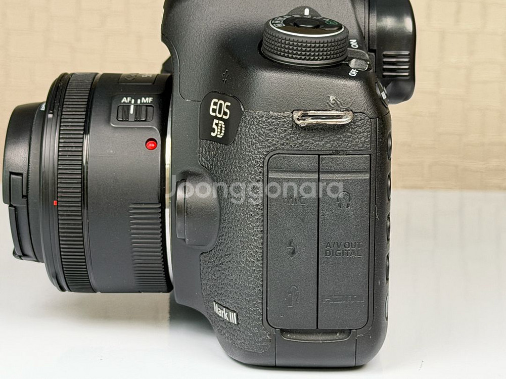 캐논 5D mark3, EF 50mm F1.8 STM 신쩜팔 렌즈--2