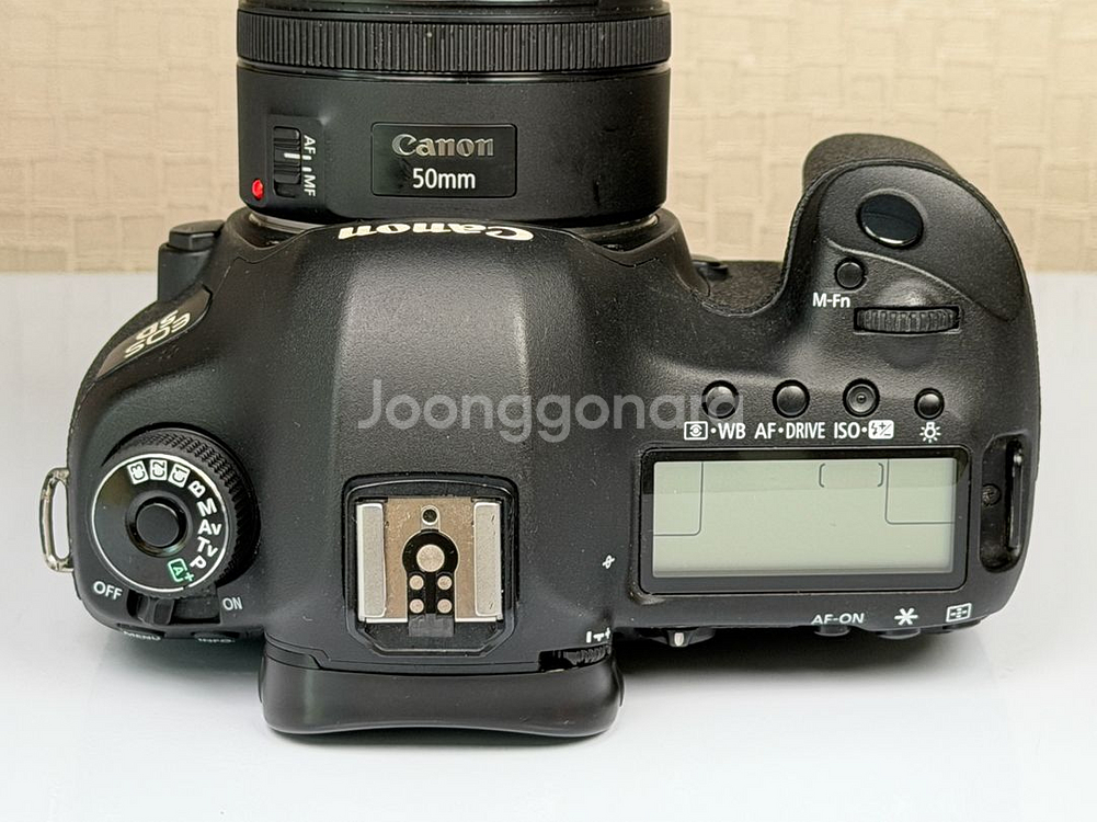 캐논 5D mark3, EF 50mm F1.8 STM 신쩜팔 렌즈--4