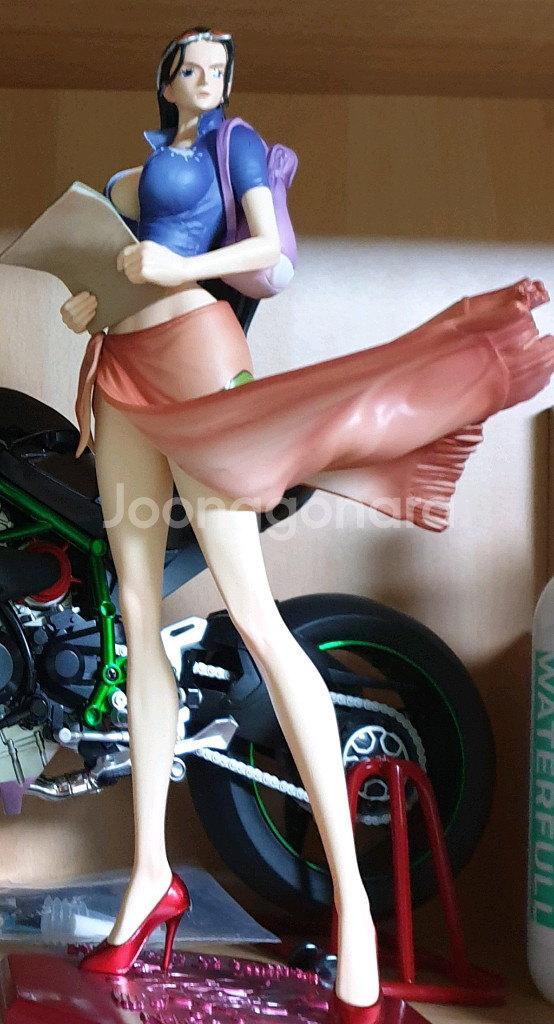 WB1000 아날로그디카. 니코로빈 피규어--4