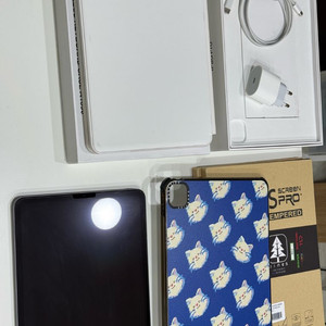 아이패드 프로 11인치 M1 와이파이 128G (케이스티파이 케이스, 구조독 포함)