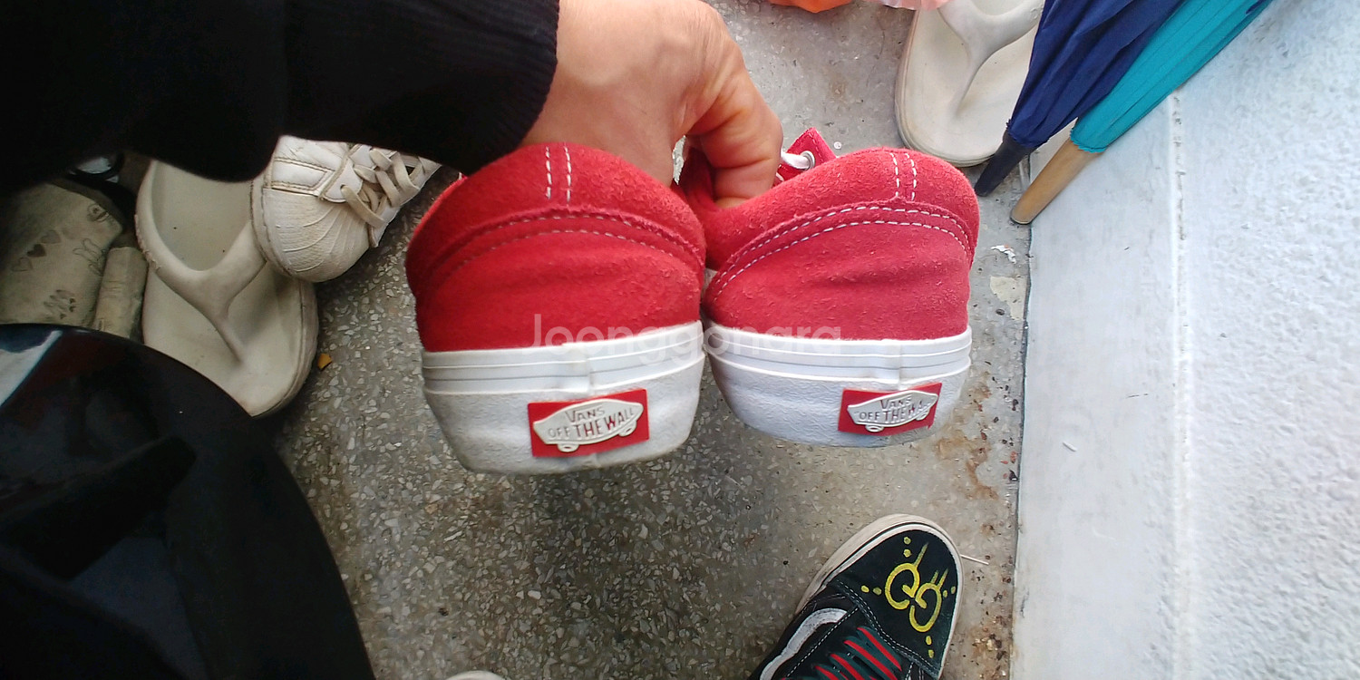 반스 스케이트 보드 슈 프로--1