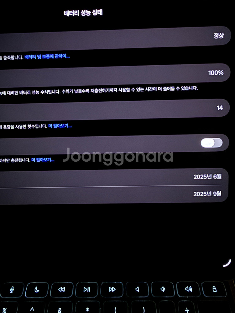 아이패드 프로 11인치 m4 256기가 실버 애플펜슬,매직키보드--7