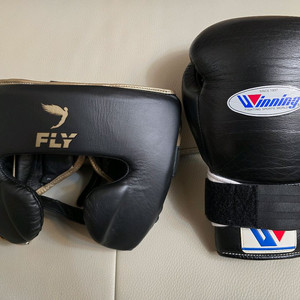 위닝 14온스 + 플라이 프리미엄 L 복싱 스파링세트 판매