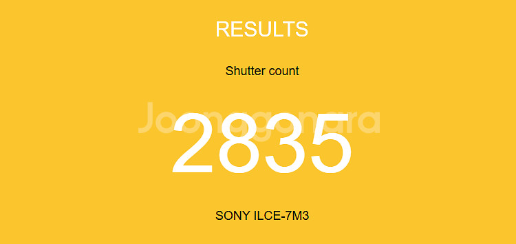 소니 A7M3 (ILCE-7M3 2800컷)--8