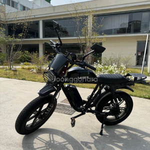 풀튜닝 엑스라이더 X200 전기자전거 자토바이 (맥스 듀오 터보 프로X)