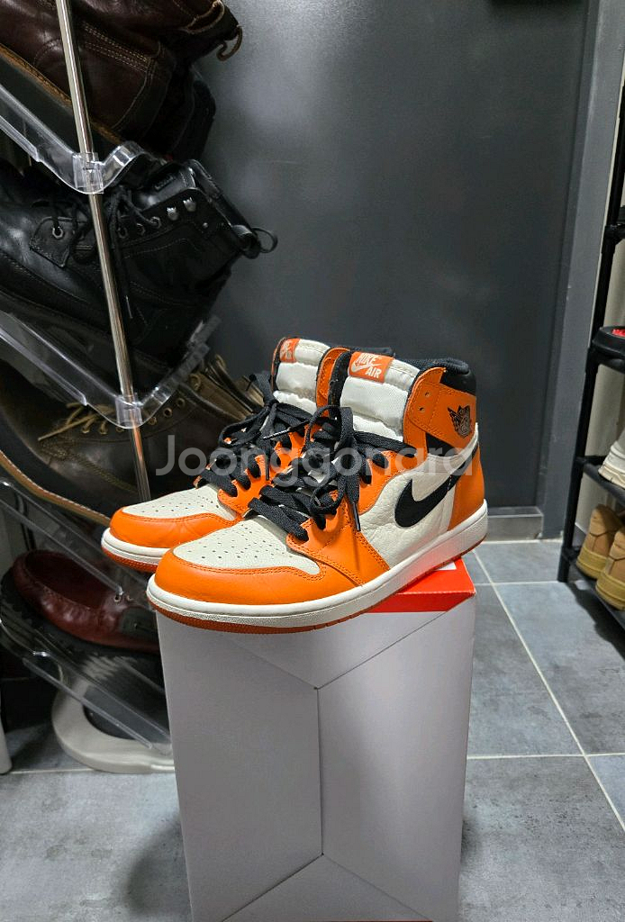 조던1 리버스 쉐터드 백보드 275--0