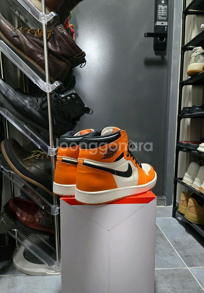 조던1 리버스 쉐터드 백보드 275--2