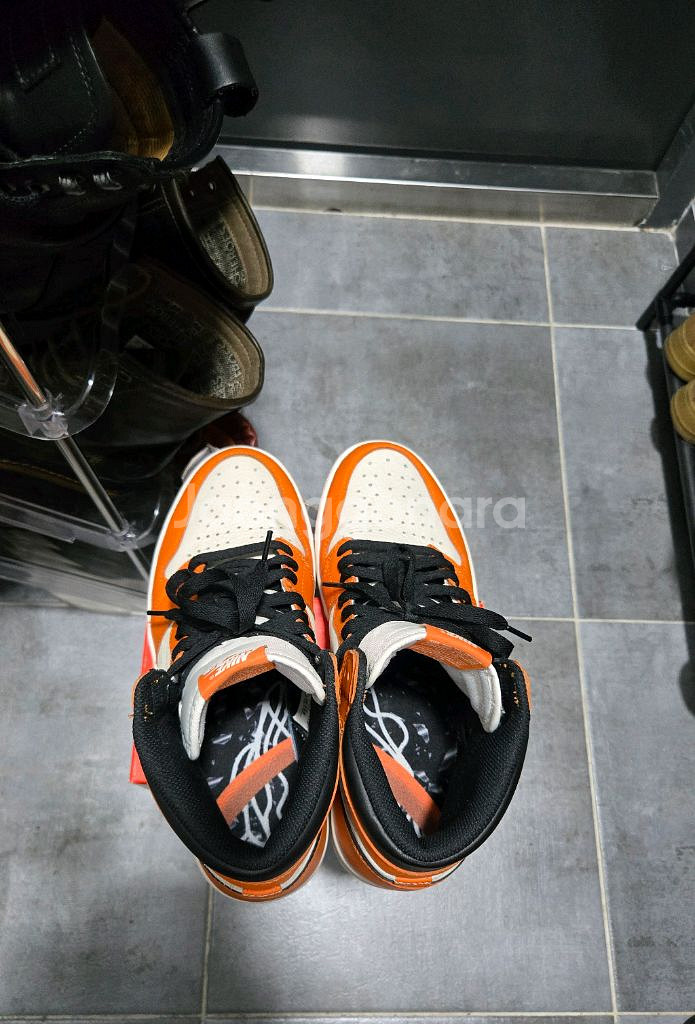 조던1 리버스 쉐터드 백보드 275--3