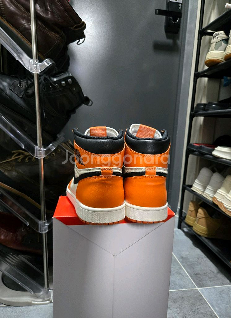 조던1 리버스 쉐터드 백보드 275--1