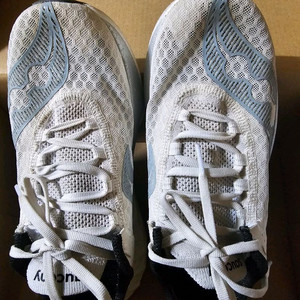 써코니 엔돌핀 프로4 250mm 팔아오