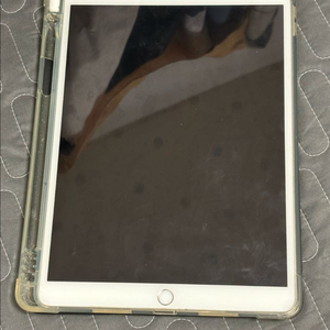 아이패드 에어 2세대 64GB 셀룰러