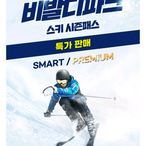 비발디파크 시즌권 리프트 시즌패스 미등록 스마트 대명