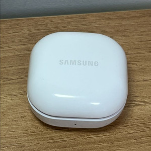 [삼성]갤럭시버즈 FE(그래파이트)