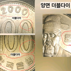 더블다이 에러 100원 동전 한국은행 주화 2000년 이미지