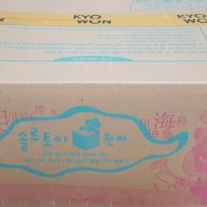 솔루토이 한자 개정판 미개봉