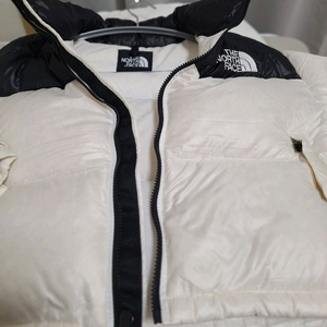 노스페이스 눕시 XL 100