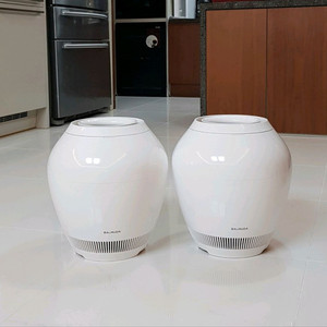 (A급) 발뮤다 더 레인 기화식 가습기 (Balmuda Humidifier)