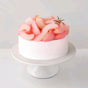 투썸플레이스 케이크