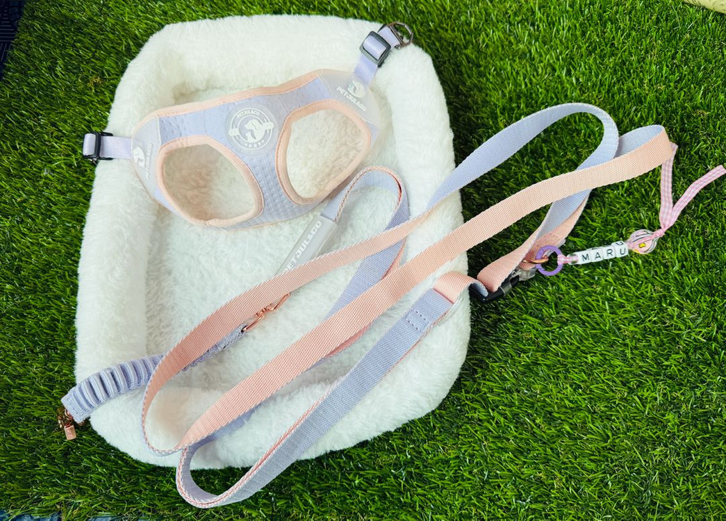 부산 PETJUL&CO 강아지 하네스 S 라벤더핑크--0