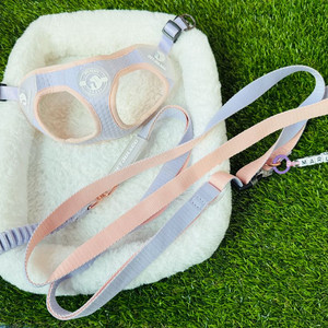 부산 PETJUL&CO 강아지 하네스 S 라벤더핑크