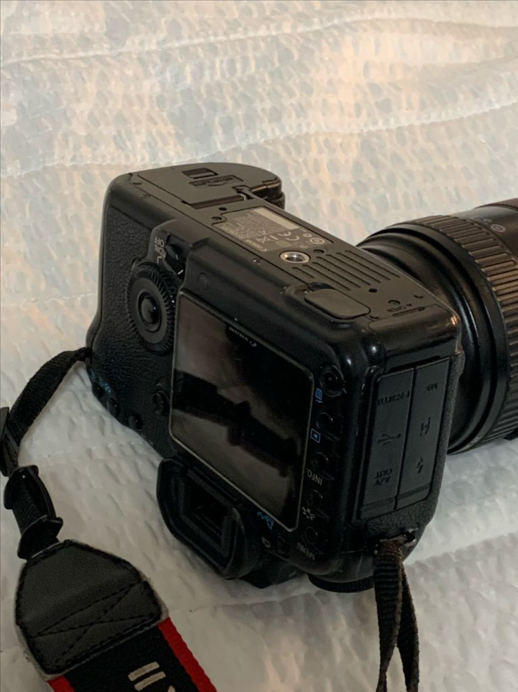 캐논 EOS 5D mark2 + 캐논 24-70렌즈 이미지