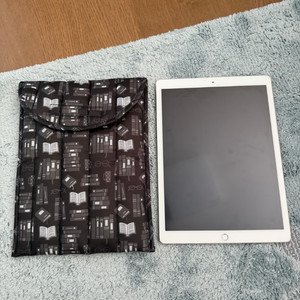 아이패드 및 pc 파우치