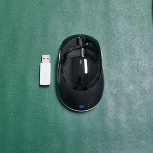 마이크로소프트 월래스 5000 무선 마우스 팜